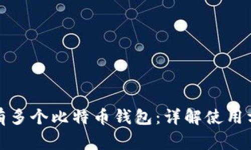 如何安全地拥有多个比特币钱包：详解使用方法与注意事项