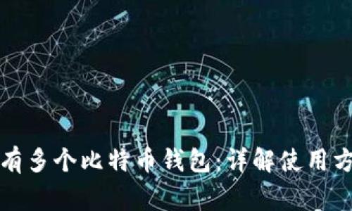 如何安全地拥有多个比特币钱包：详解使用方法与注意事项