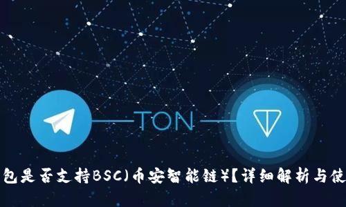小狐钱包是否支持BSC（币安智能链）？详细解析与使用指南