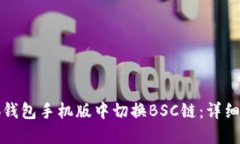 如何在小狐钱包手机版中切换BSC链：详细步骤与