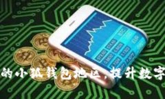 如何选择合适的小狐钱包地区，提升数字资产流