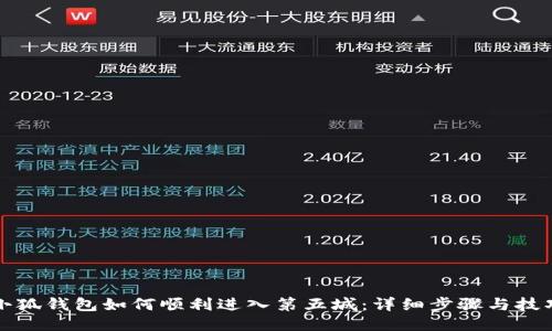 小狐钱包如何顺利进入第五城：详细步骤与技巧