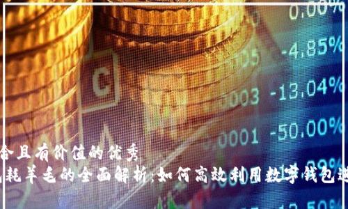思考一个符合且有价值的优秀  
:  小狐钱包耗羊毛的全面解析：如何高效利用数字钱包进行资产管理