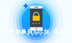 如何在小狐钱包中切换到BSC链：详尽指南与故障