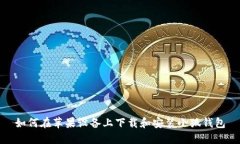 如何在苹果设备上下载和