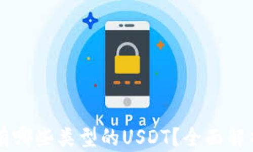 
某币钱包中有哪些类型的USDT？全面解析与使用指南