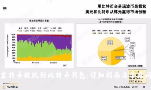 如何将莱特币提现到比特币钱包：详细指南与常见问题解答