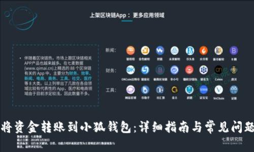 如何将资金转账到小狐钱包：详细指南与常见问题解析