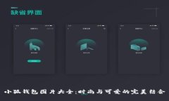 小狐钱包图片大全：时尚
