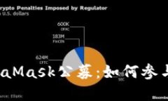 深入了解MetaMask公募：如何