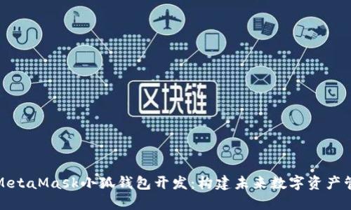 全面探究MetaMask小狐钱包开发：构建未来数字资产管理的基础