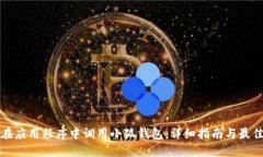 如何在应用程序中调用小狐钱包：详细指南与最