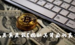 小狐钱包是真是假？揭秘其背后的真相与风险