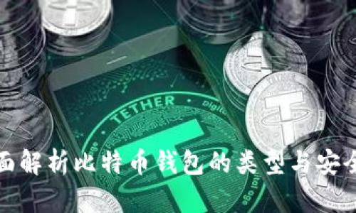 全面解析比特币钱包的类型与安全性