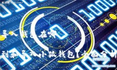 小狐的导入钱包在哪如何找到和导入小狐钱包？