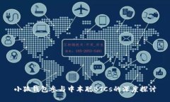 小狐钱包参与中本聪BTCs的深度探讨