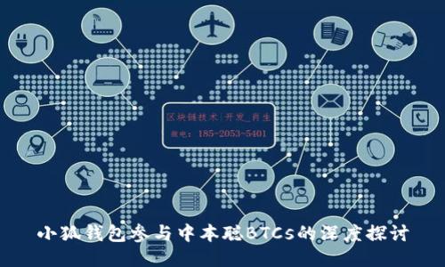 小狐钱包参与中本聪BTCs的深度探讨