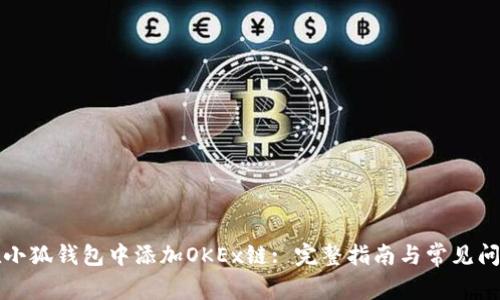 如何在小狐钱包中添加OKEx链: 完整指南与常见问题解析