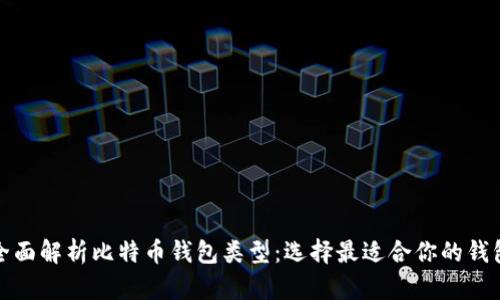 全面解析比特币钱包类型：选择最适合你的钱包