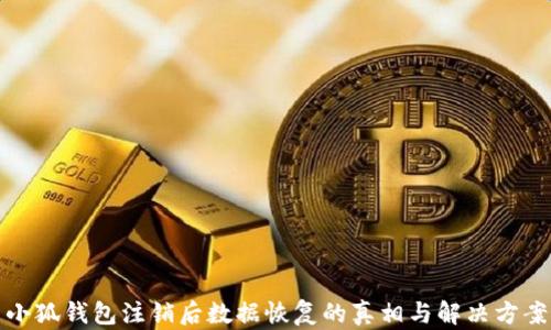 
小狐钱包注销后数据恢复的真相与解决方案