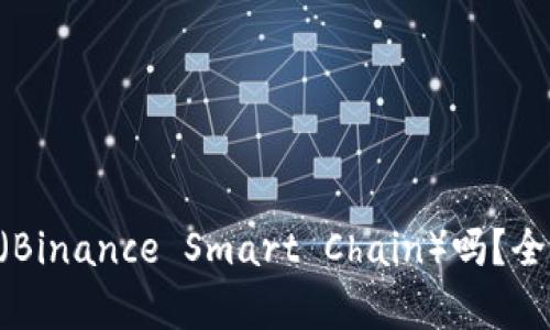 小狐钱包支持BSC（Binance Smart Chain）吗？全面解析与应用场景
