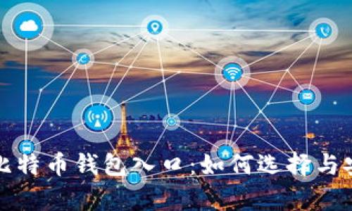 全面解析比特币钱包入口：如何选择与安全性保障