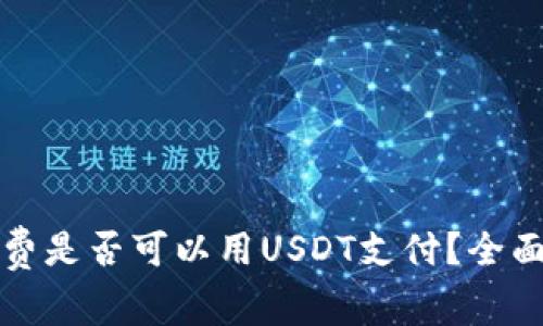 TP钱包矿工费是否可以用USDT支付？全面解答与指南