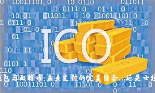 “苹果钱包与比特币：未来支付的完美结合...还是一场幻梦？”