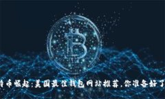 比特币崛起：美国最佳钱