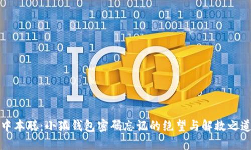 中本聪：小狐钱包密码忘记的绝望与解救之道