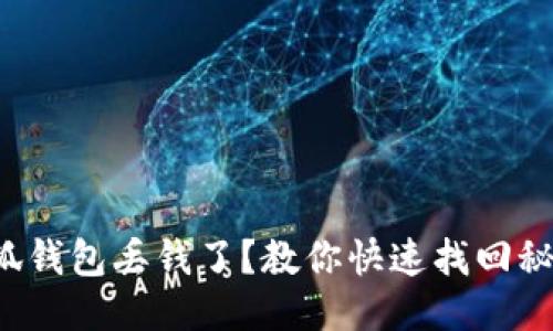 小狐钱包丢钱了？教你快速找回秘籍！