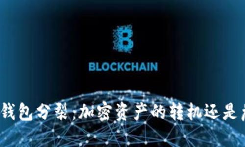 小狐钱包分裂：加密资产的转机还是危机？