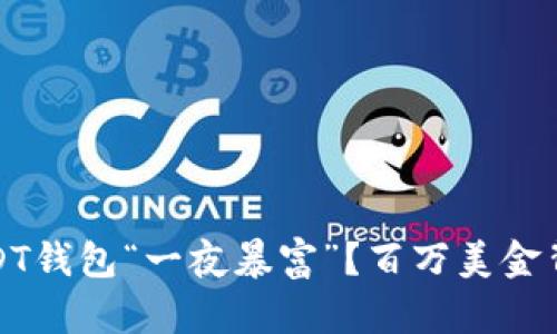 如何用USDT钱包“一夜暴富”？百万美金背后的秘密