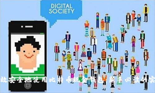 如何高效安全地使用比特币现金钱包：新手必读的实用指南