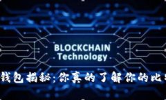比特币钱包揭秘：你真的