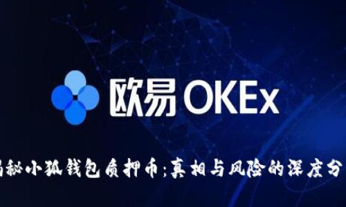 揭秘小狐钱包质押币：真相与风险的深度分析