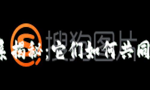 区块链钱包与节点关系揭秘：它们如何共同构建数字货币的未来？