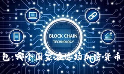 全球USDT钱包：哪个国家在这场加密货币革命中领先？