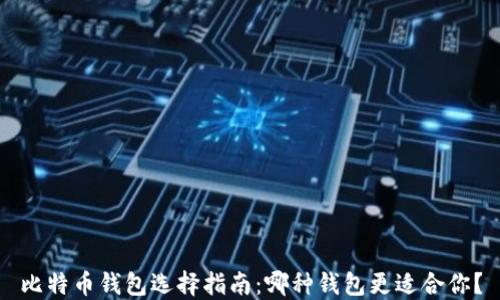 
比特币钱包选择指南：哪种钱包更适合你？