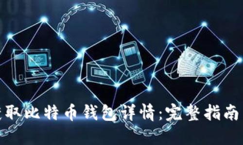 如何高效获取比特币钱包详情：完整指南与实用建议