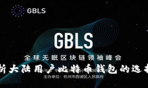全面解析大陆用户比特币钱包的选择与使用