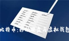 如何安全存储比特币：移动硬盘与虚拟钱包的对