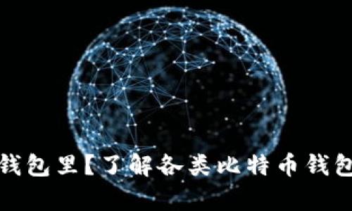 比特币存在哪个钱包里？了解各类比特币钱包的特点与安全性