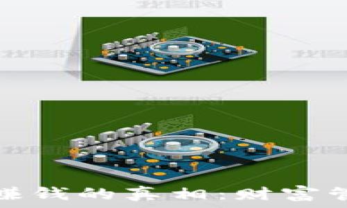   
区块链钱包能赚钱的真相：财富管理与风险评估