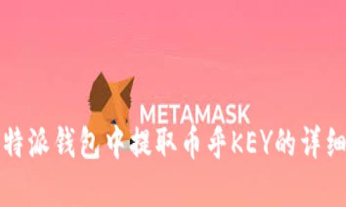 如何在比特派钱包中提取币乎KEY的详细步骤指南